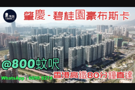 碧桂園豪布斯卡-肇慶|首期3萬(減)|香港高鐵80分鐘直達|香港銀行按揭 (實景航拍)